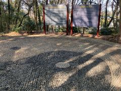 -上海佘山国家森林公园天马山园