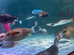 -沈阳海洋探索中心