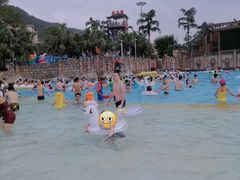 -重庆海昌加勒比海水世界