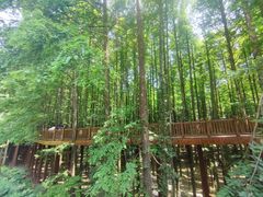 -山王坪喀斯特国家生态公园