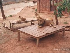 -昆明动物园