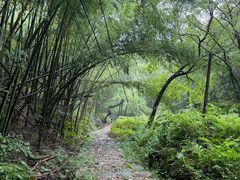 -会稽山峡洞漂流-上青古道