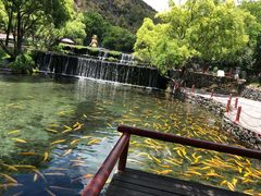 -丽江玉水寨