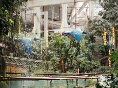 -正佳雨林生态植物园