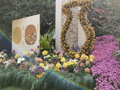 -杭州植物园