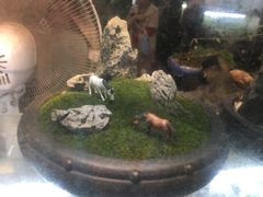 -双季花艺园艺市场(浦东店)