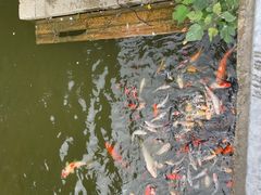 -苏州文庙(姑苏区)