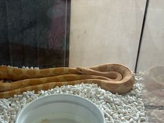 -春晖园度假酒店温泉