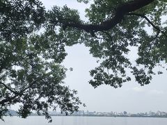 -西湖游船