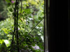 -箱美术馆私房菜(水晶郦城店)