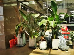 -BOF HAIR BY HONTO