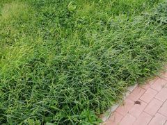 -小李烧鸡(大沽路店)