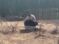 -沈阳森林动物园