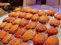 -武汉马哥孛罗酒店