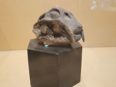 -正佳自然科学博物馆