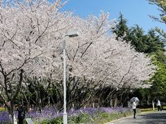 -白塘生态植物园