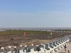 -碧海金沙