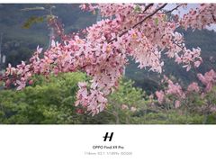 -白石龙音乐公园