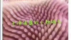 -可丽可心身材管理中心