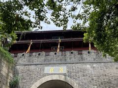 -孙奶奶葱包桧