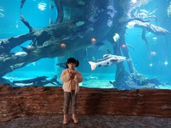 -华夏文旅海洋公园