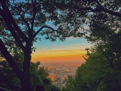 -惠山国家森林公园