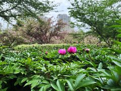 -白塘生态植物园