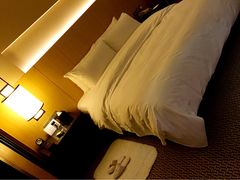 金陵饭店-南京金陵饭店