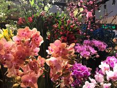 -婷意花宇TheGracesFloral(北外滩店)