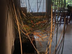 -璞素(浦东店)