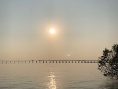 -宝安西湾红树林湿地公园