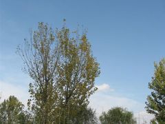 邛海宾馆-西昌邛海宾馆