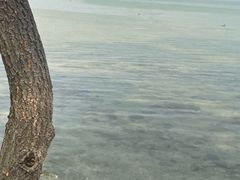 -大理洱海