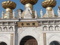 -上海东林寺(金山区)