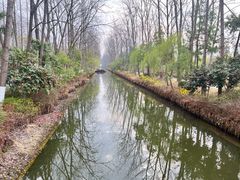 -合肥滨湖国家森林公园