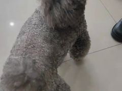 -宠颐生宠物医院·心肾内科·猫专科诊疗中心宠巢店