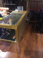 -鳌首刺青纹身 穿孔饰品店