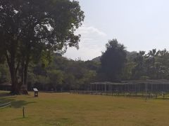 -野狸岛