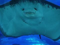 -福州罗源湾海洋世界旅游区