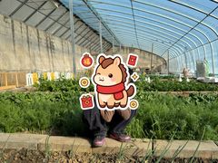 -南宫五洲植物乐园