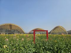 -中国天府农业博览园