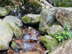 -藏龙百瀑风景区