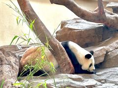 -宁波野生动物园