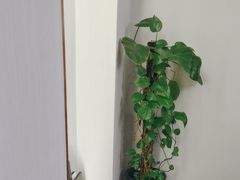 -沸腾鱼乡(知春路分店)