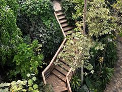 -郑州植物园