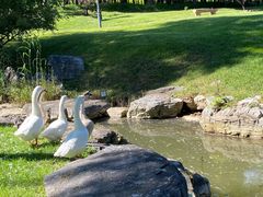 -北京宽沟会议中心