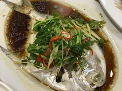 -天天海鲜城·海鲜大排档(新溪店)