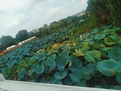 -狼山风景名胜区