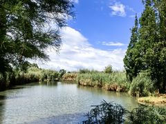 -捞渔河湿地公园