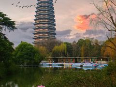 -红梅公园